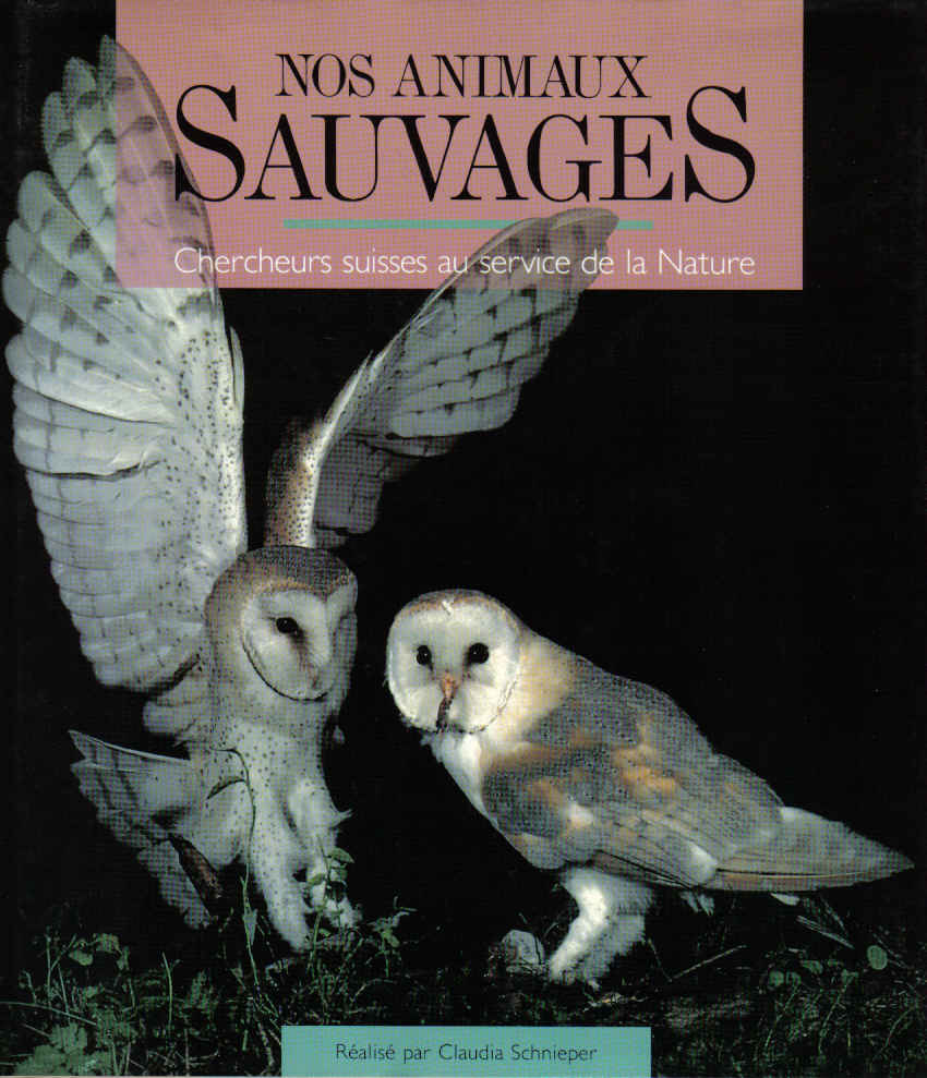 animaux sauvages